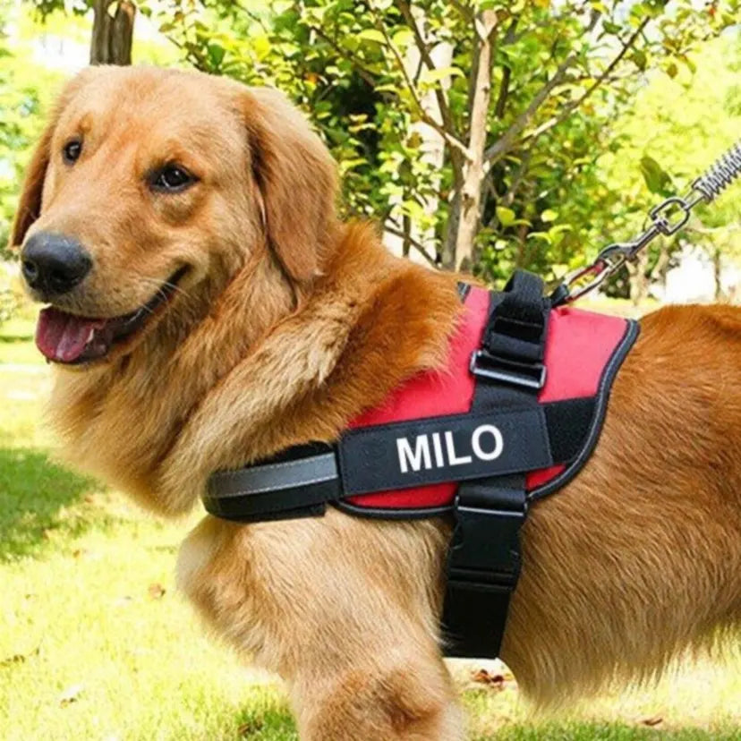 Customized Pet Harness