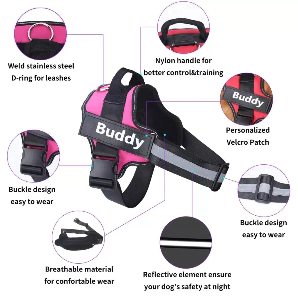 Customized Pet Harness