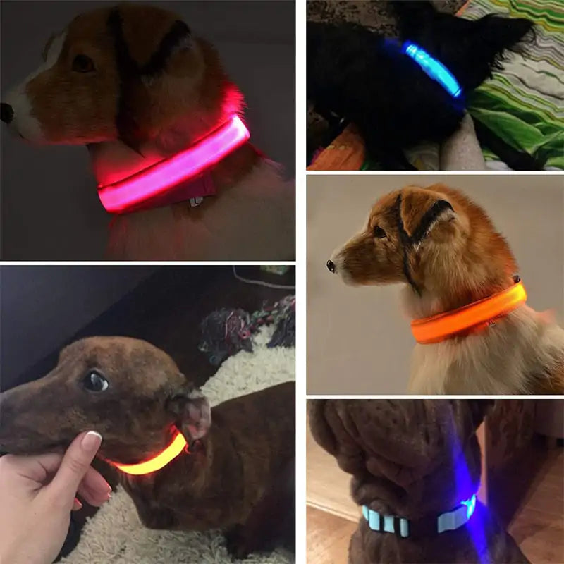 Support the ASPCA--Adjustable LED Pet Collar-5% goes to the ASPCA!
