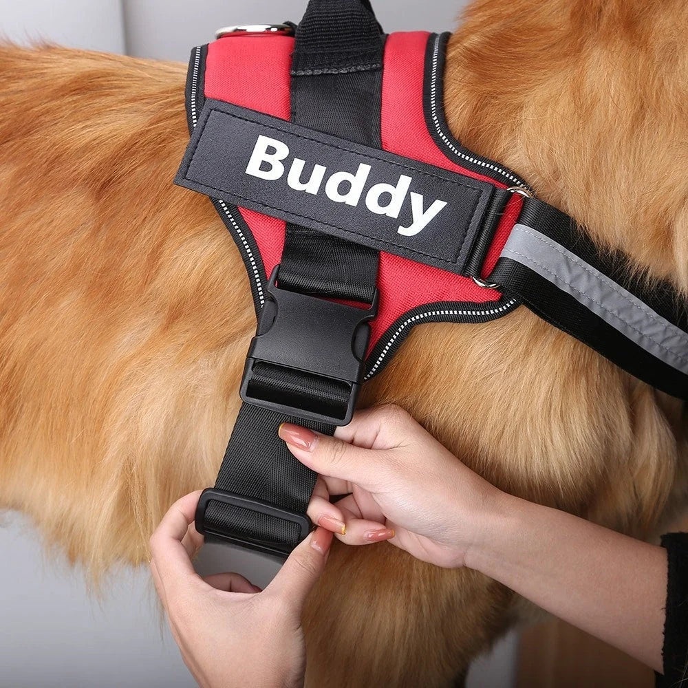 Customized Pet Harness